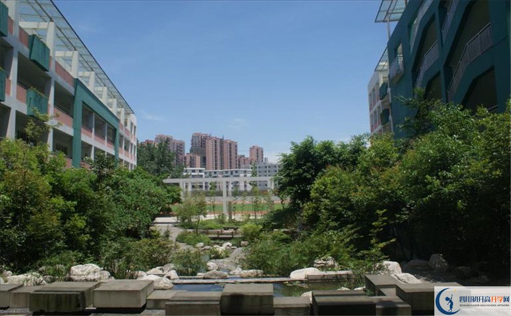 四川師范大學(xué)實(shí)驗(yàn)外國(guó)語(yǔ)學(xué)校2020年保送清華北大的人數(shù)？