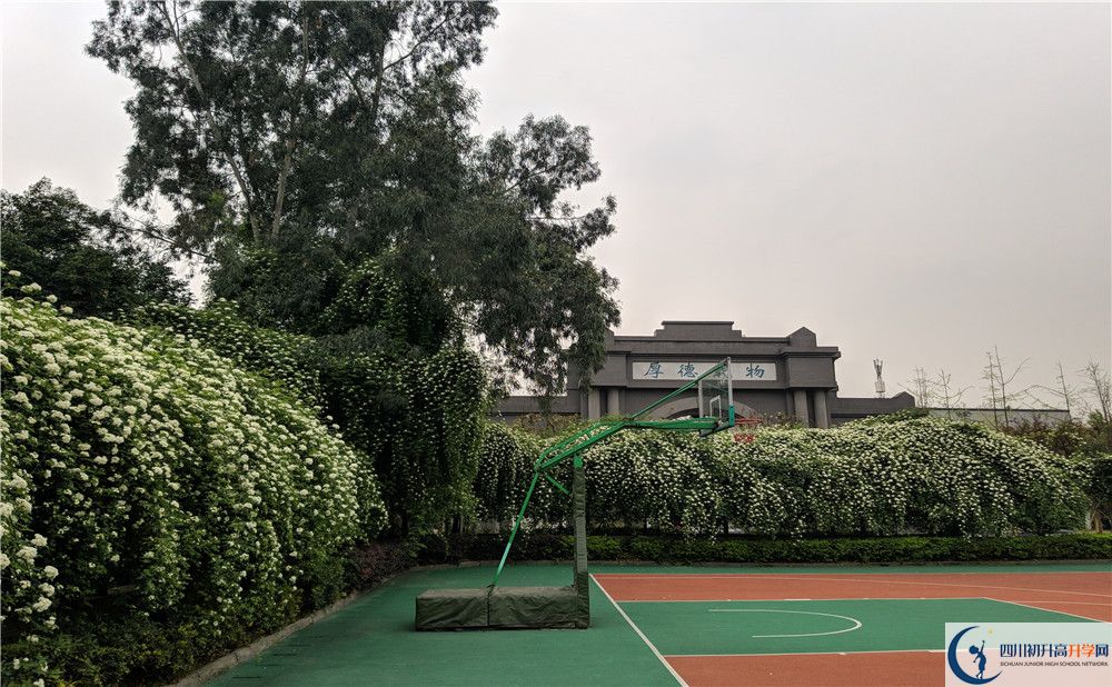 成都教科院附屬學校初升高難不難？