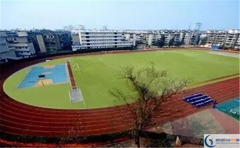 成都實外新都五龍山學(xué)校招生考試科目有哪些？