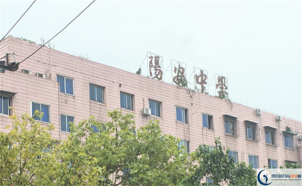 2020年陽安中學成績查詢入口在哪里？
