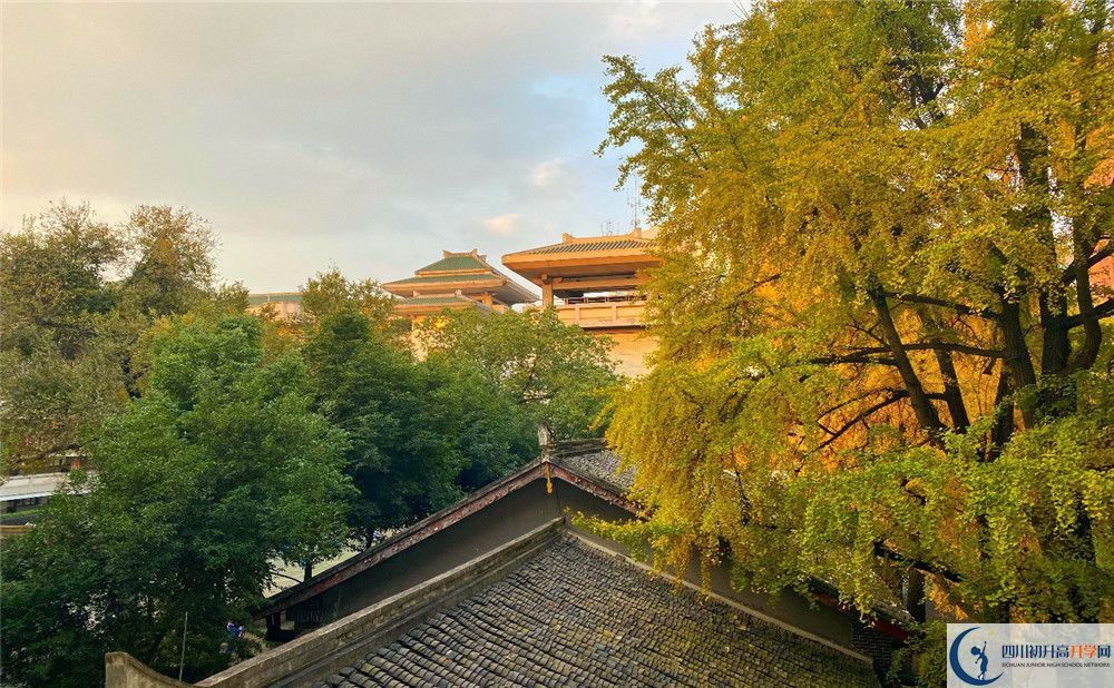 成都石室中學(xué)位置在哪里？