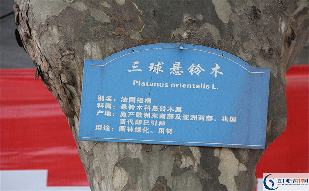 2020成都市第四十九中學(xué)高考重點大學(xué)升學(xué)率高嗎？