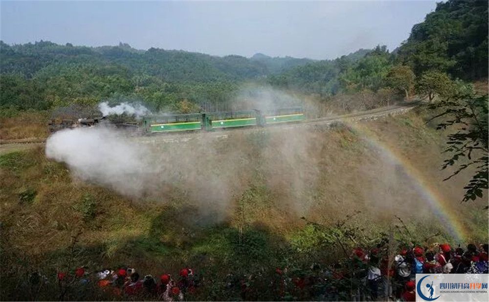 成都市泡桐樹中學國際班費用是多少？