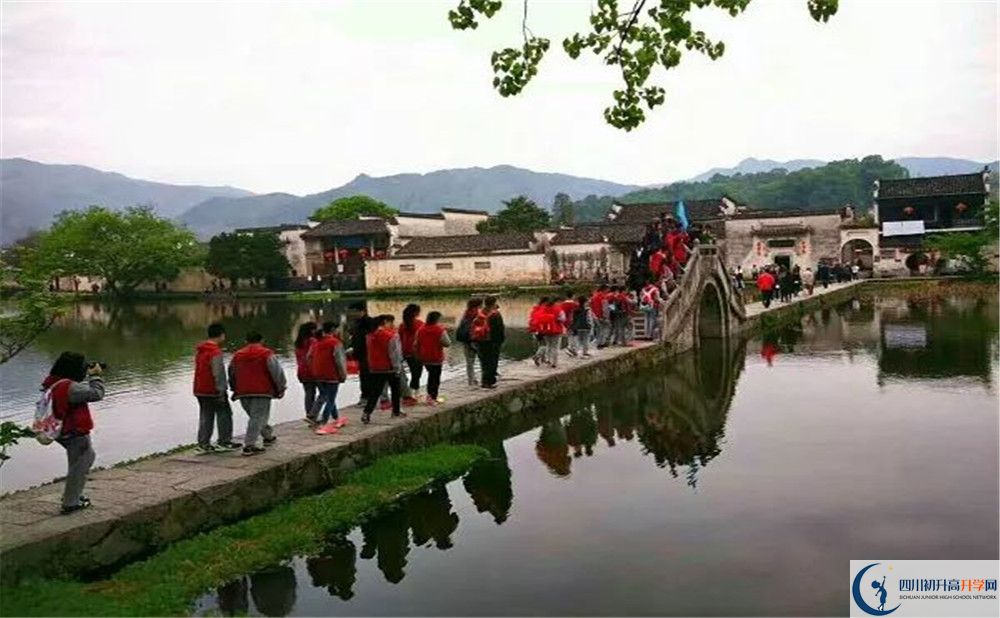 2020成都市泡桐樹中學(xué)國際部入學(xué)多少分？