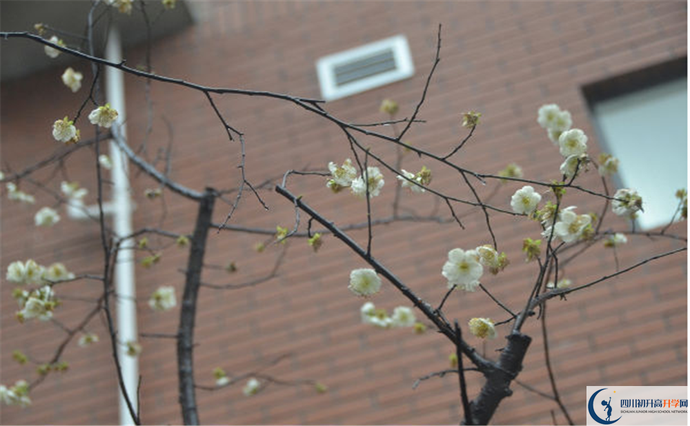 成都市華陽中學(xué)是私立還是公立學(xué)校？