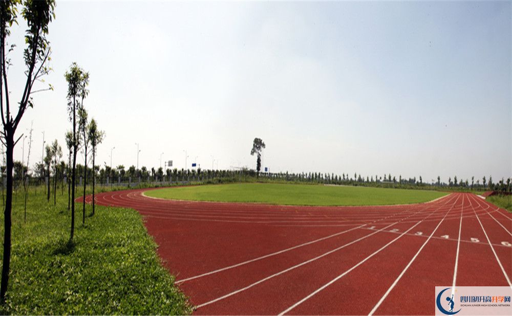 2020川師大附屬第三實(shí)驗(yàn)中學(xué)高考重點(diǎn)大學(xué)升學(xué)率是多少？