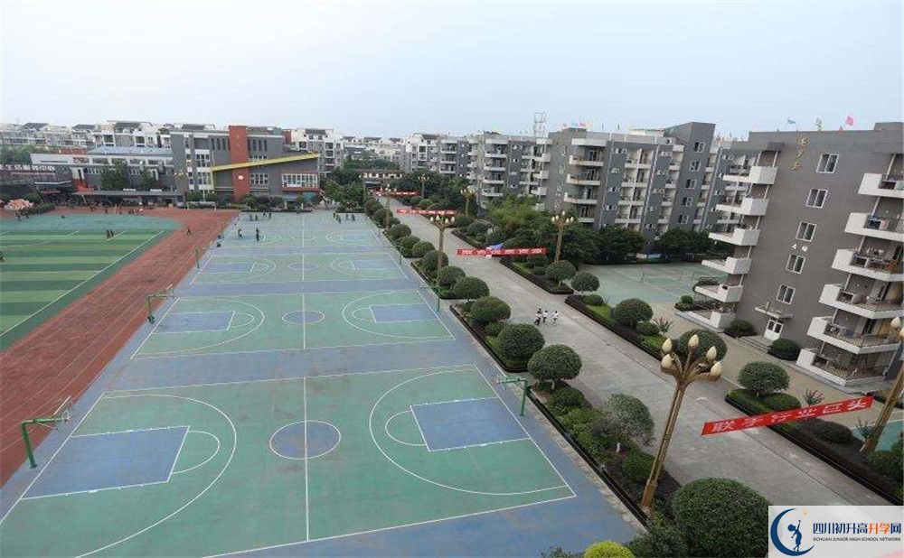 大彎中學(xué)在全國(guó)高中排名是多少？
