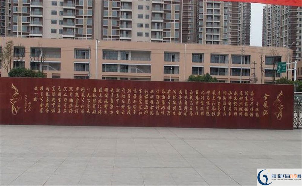 成都經(jīng)濟(jì)技術(shù)開發(fā)區(qū)實(shí)驗(yàn)中學(xué)在全國高中排名是多少？