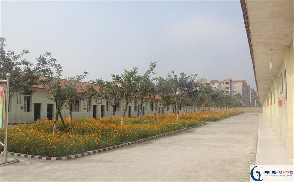 強項實驗中學在全國高中排名多少？