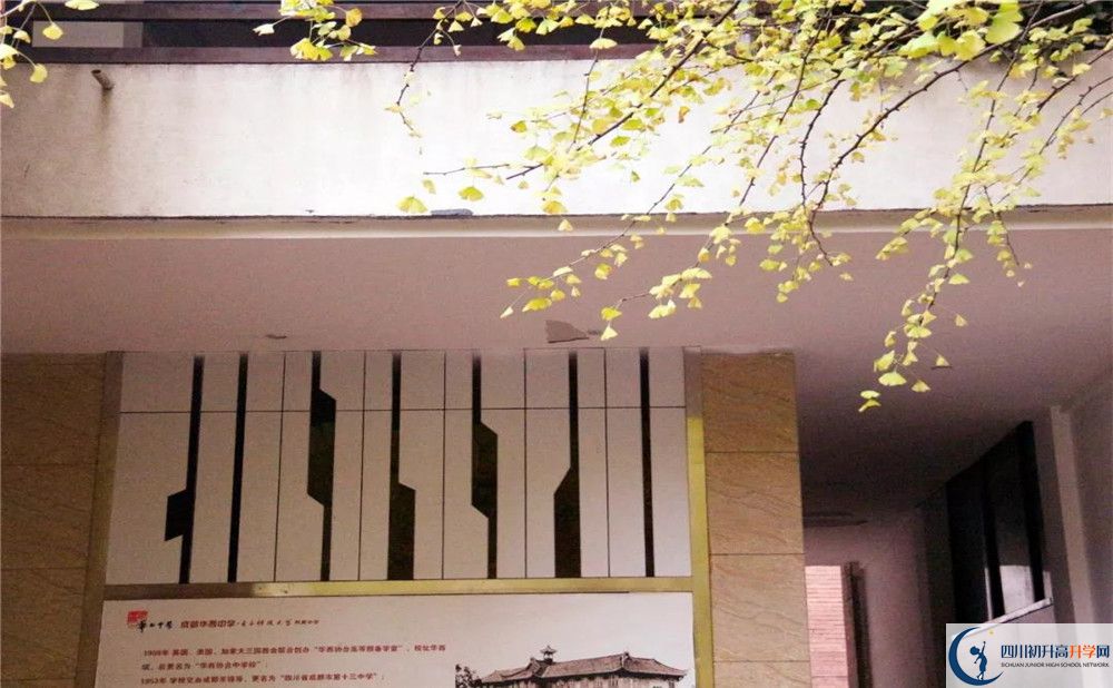 2020四川師范大學(xué)附屬第三實驗中學(xué)初升高分班考試題難嗎？