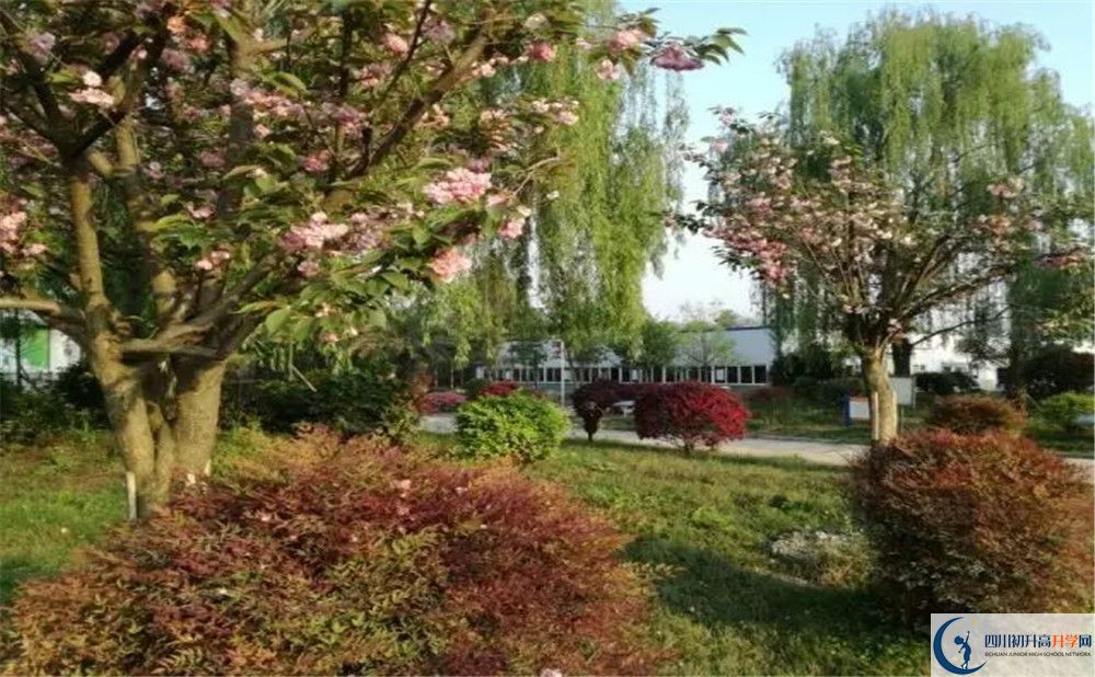 四川師范大學附屬第三實驗中學實驗班人數(shù)是多少？