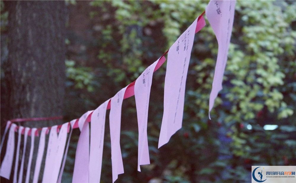 成都實(shí)驗(yàn)外國語學(xué)校（西區(qū)）平行班中考重點(diǎn)率是多少？