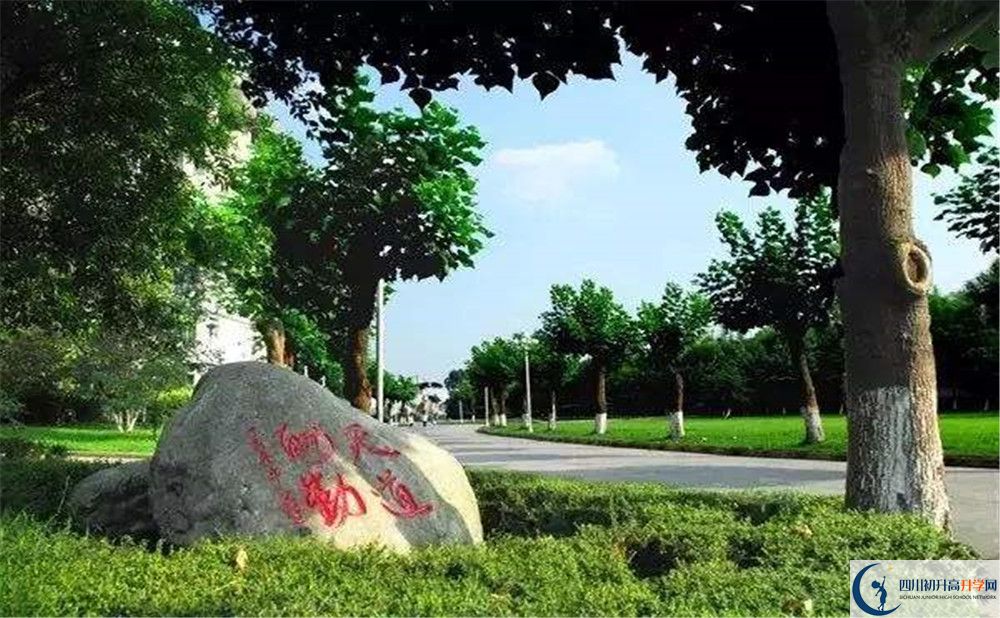 成都樹德中學(xué)補課嗎？