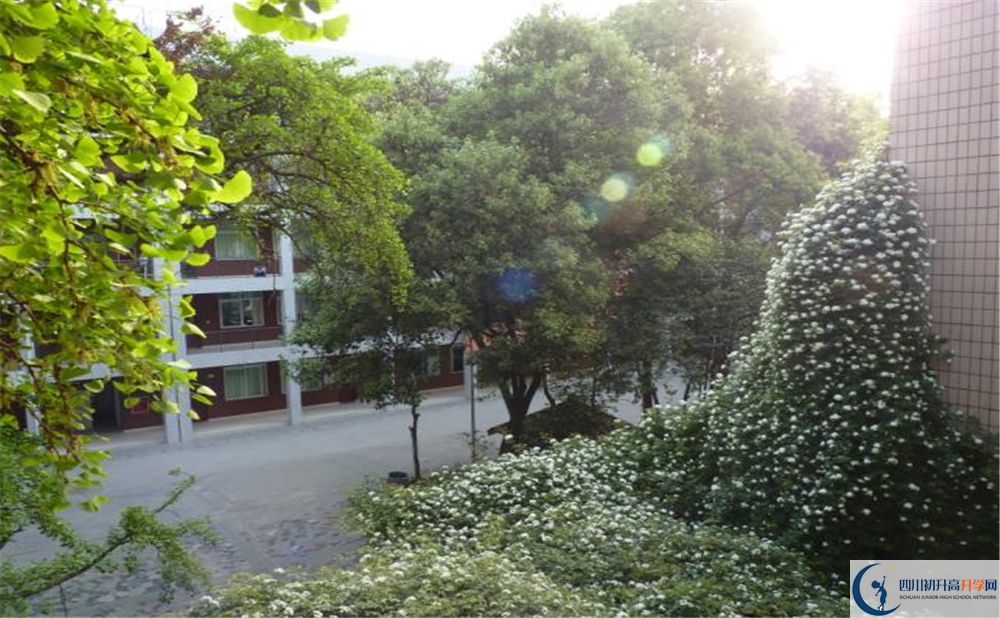 2020石室聯(lián)合中學蜀華分校二診數(shù)學試題答案在哪看？