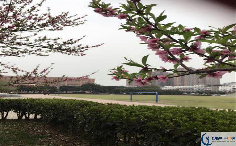 樹德博瑞實驗學(xué)校校園風(fēng)采