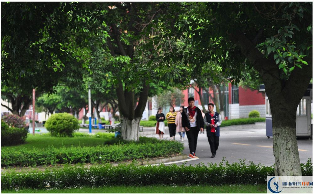 2020年巴中市中考分數(shù)線什么時候能查到？