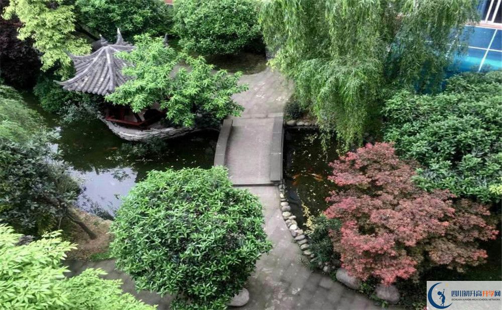 成都八中今年的錄取條件是否有變化？