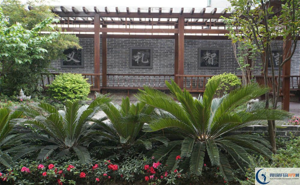 2020成都八中考自主招生條件是什么，有何變化？