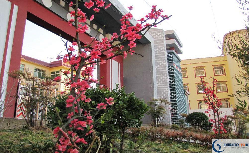 金川中學今年的錄取條件是否有變化？