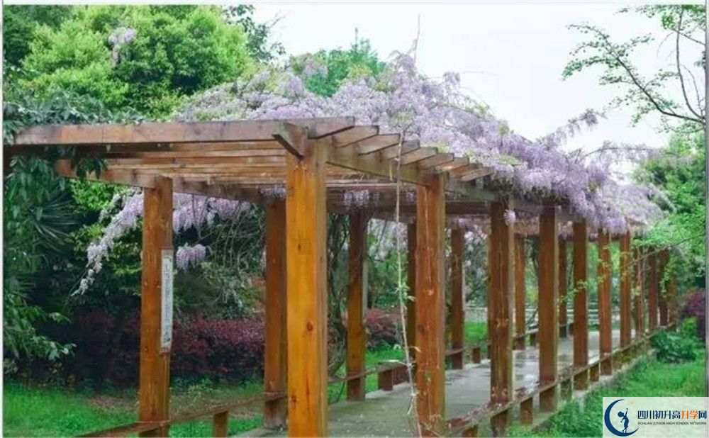 廣安花橋中學(xué)高三診斷考試時(shí)間怎么安排？