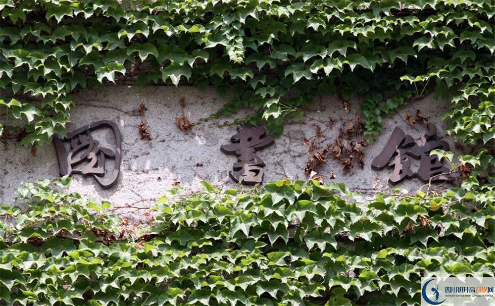 乘風(fēng)外國(guó)語(yǔ)實(shí)驗(yàn)中學(xué)今年的學(xué)費(fèi)怎么收取，是否有變化？