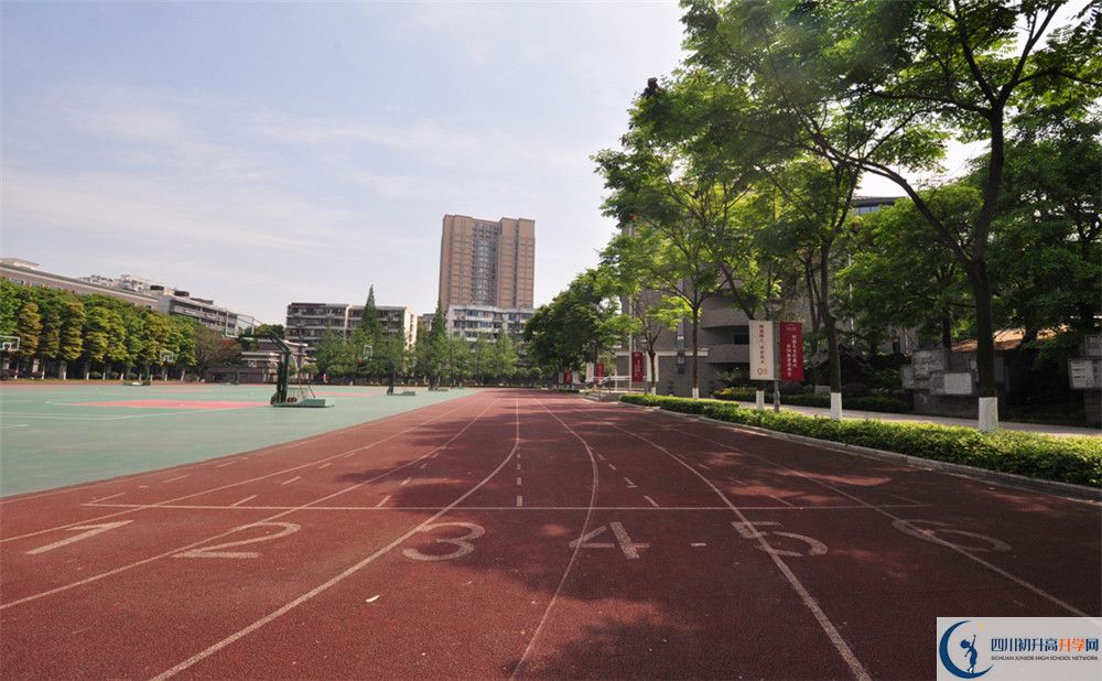2019樹德中學分數線是多少？