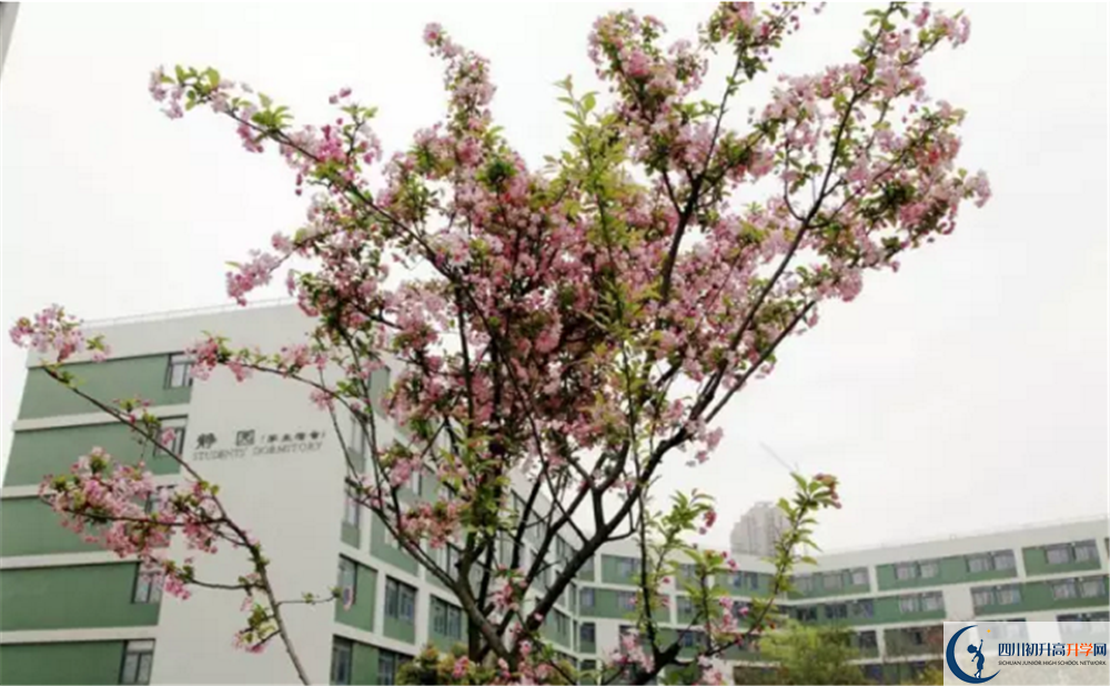 2020年四川省瀘州市實(shí)驗(yàn)中學(xué)初三畢業(yè)時(shí)間如何變化？