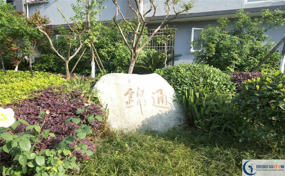 通錦中學(xué)班型分班情況如何？