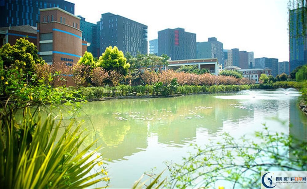 成都美視國際學校2020年怎么走？