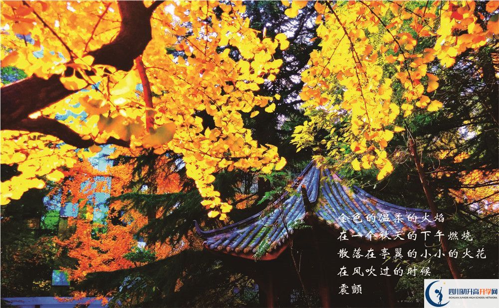 七中高新2020年學(xué)費(fèi)是多少錢(qián)？
