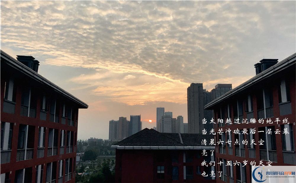 七中高新2020年招生計(jì)劃是什么？