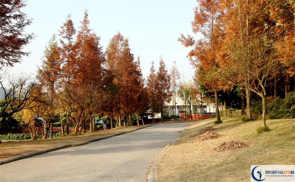 2020年成都實驗外國語學校西區(qū)住宿條件怎么樣？